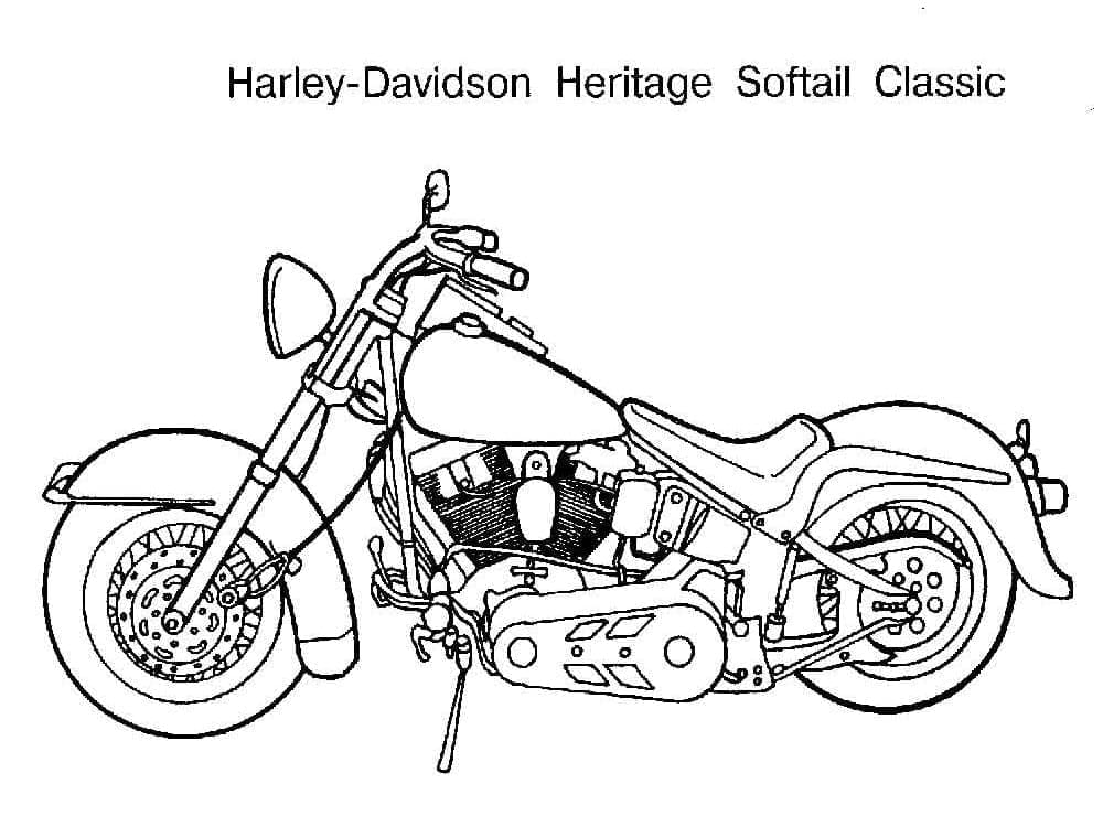 Awesome Harley Davidson