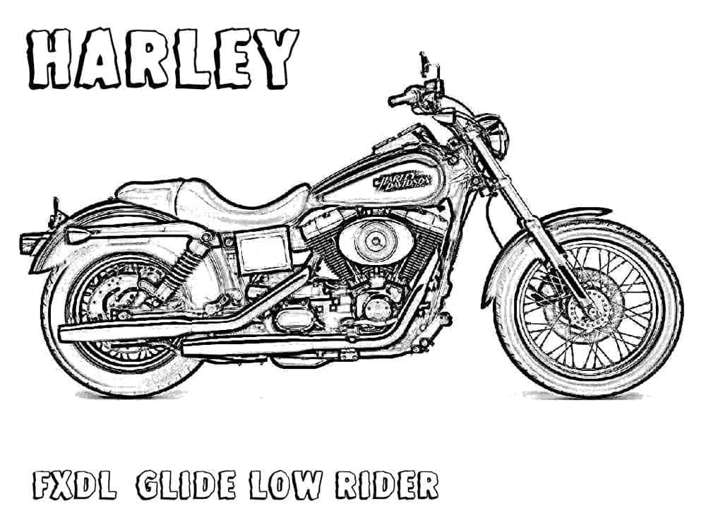 Basic Harley Davidson