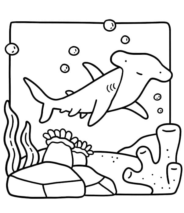 Coco Wyo Shark coloring page