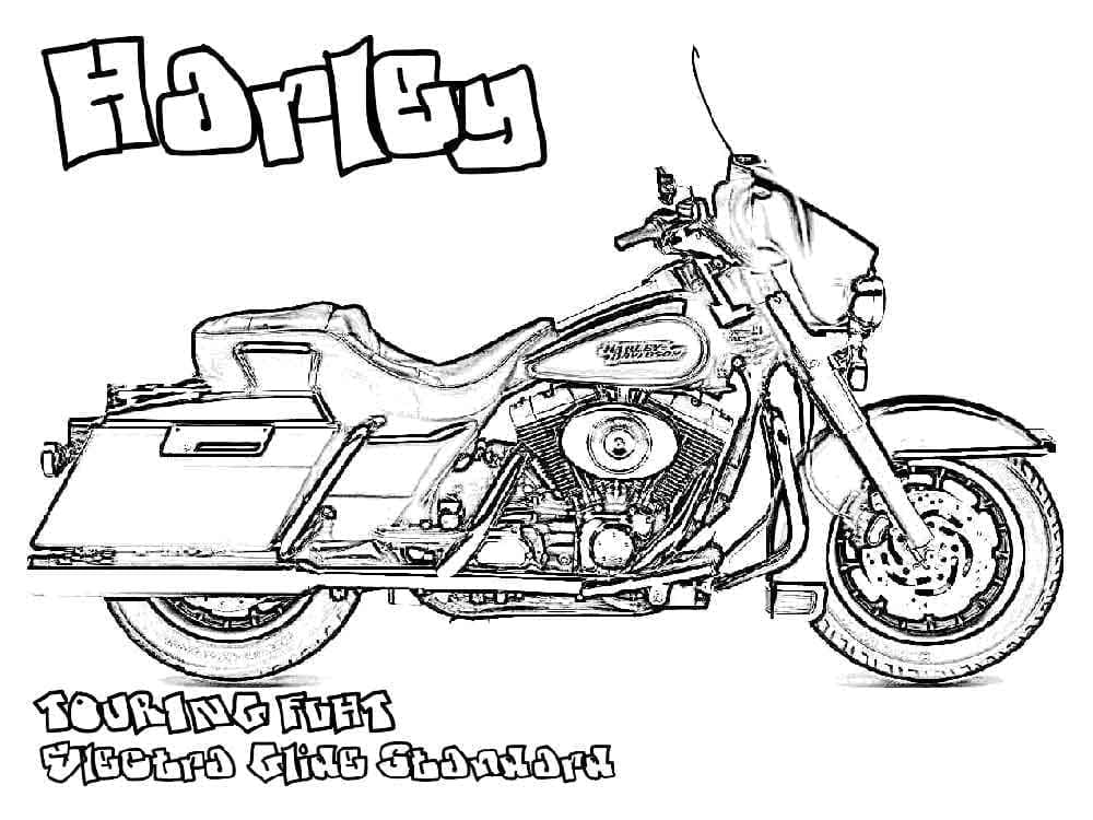 Harley Davidson Image