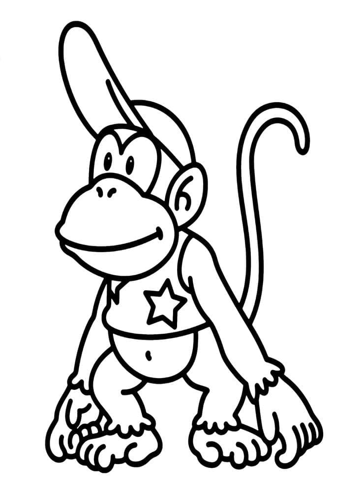 Nintendo Diddy Kong