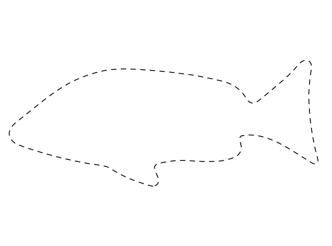 Perfect Fish Tracing