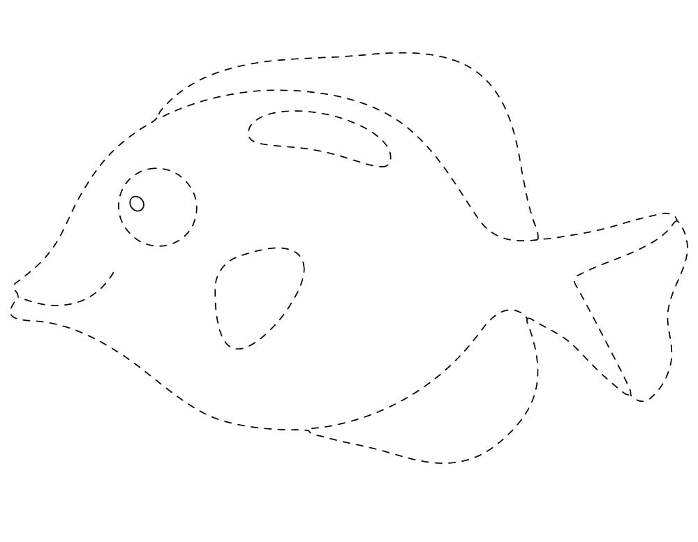 Tracing A Fish