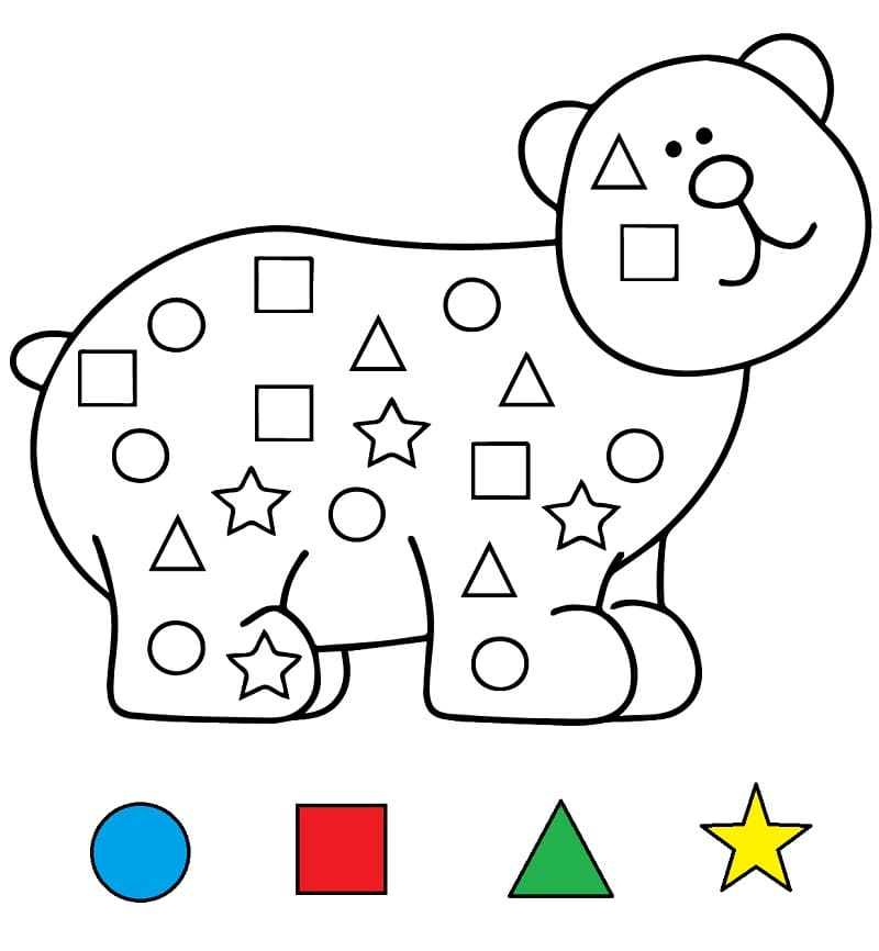 Bear Learning Shapes