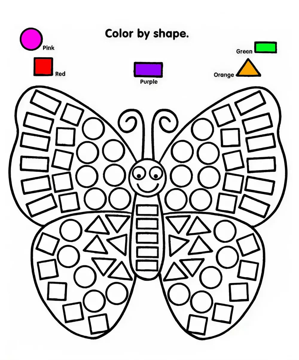 Butterfly Learning Shapes