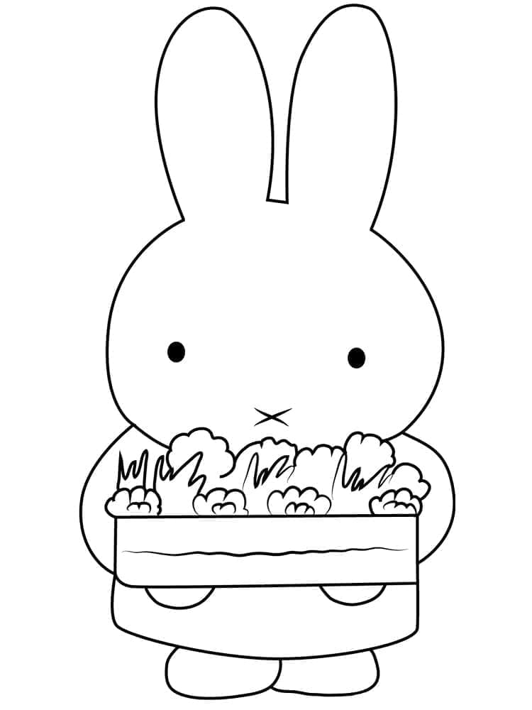 Drawing of Miffy coloring page