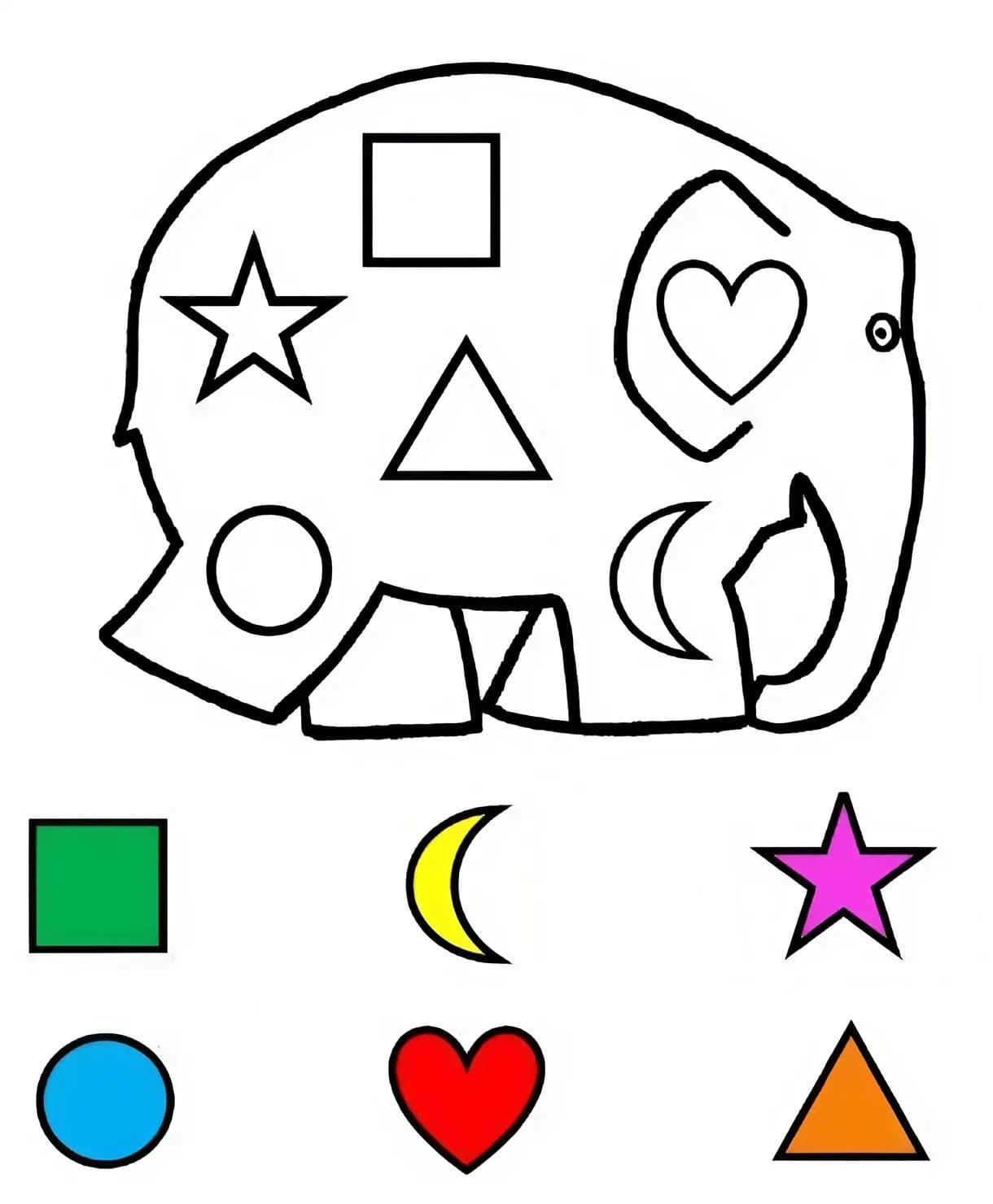 Elephant Learning Shapes