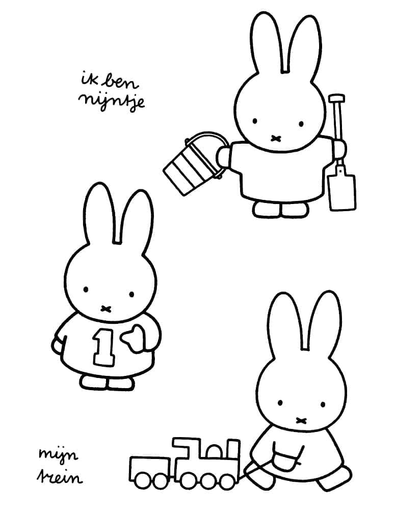 Free Miffy Image