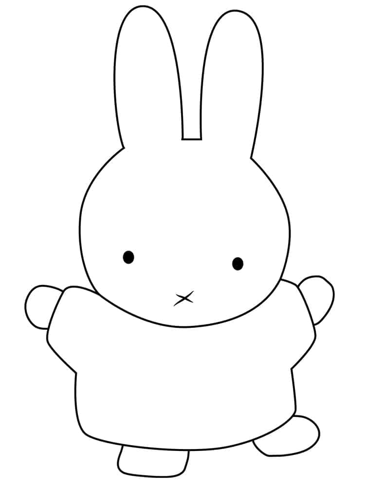 Happy Miffy