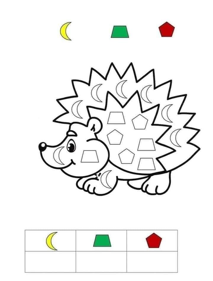 Hedgehog Learning Shapes