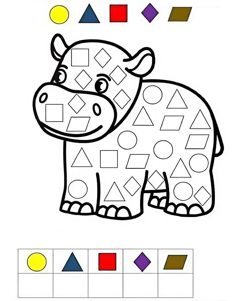 Hippo Learning Shapes