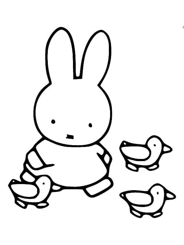 Miffy and Ducks