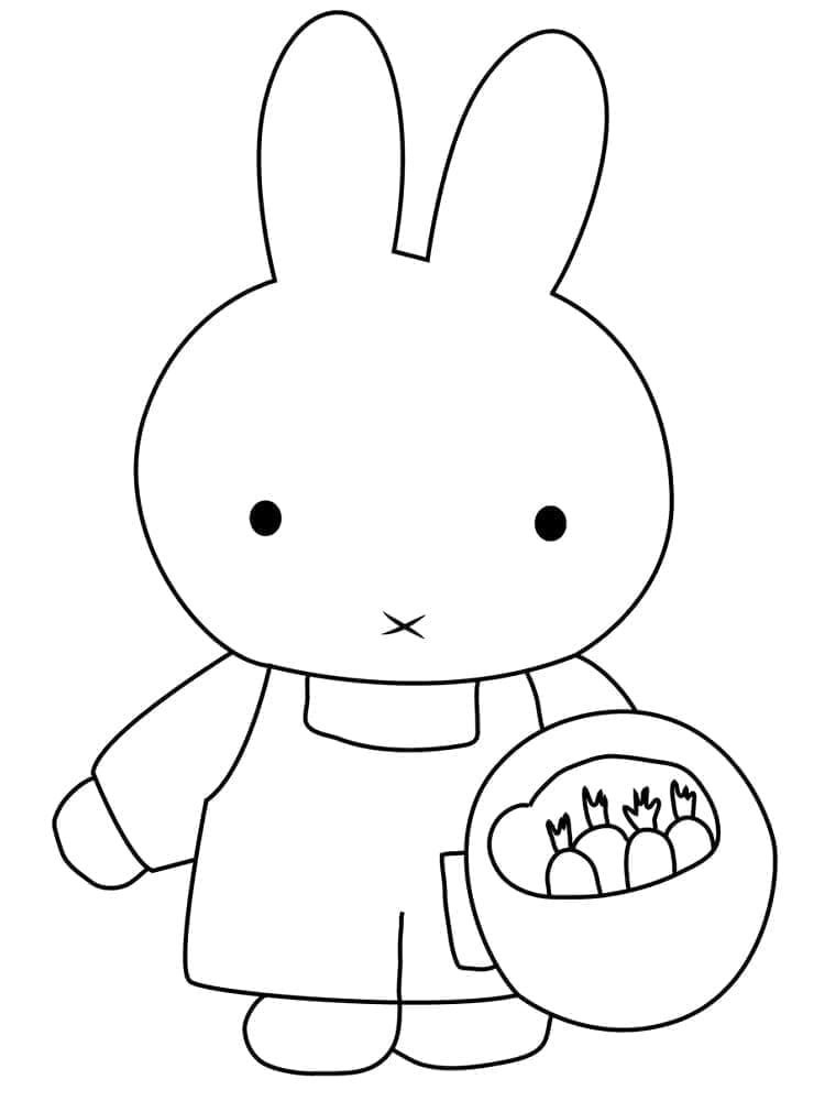 Miffy with Carrots