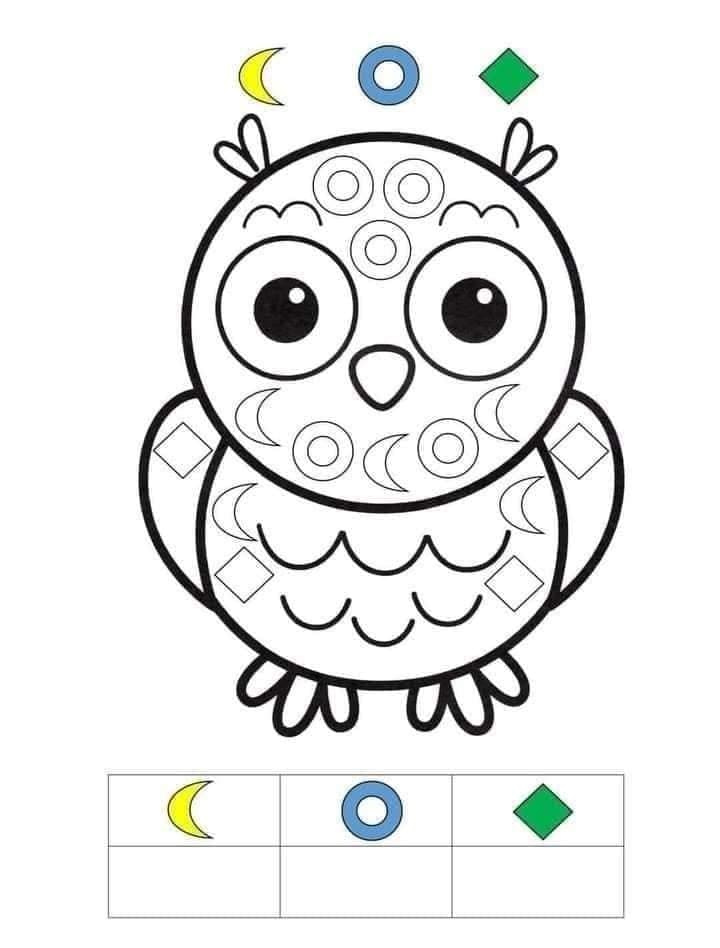 Owl Learning Shapes