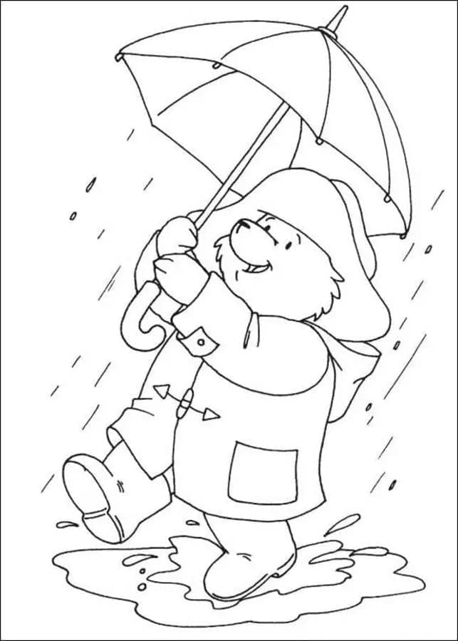 Paddington on the Rain