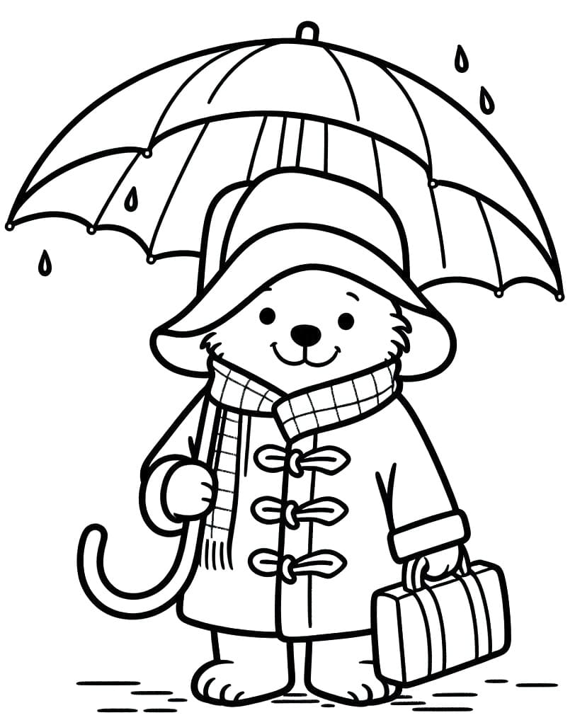 Paddington with Umbrella