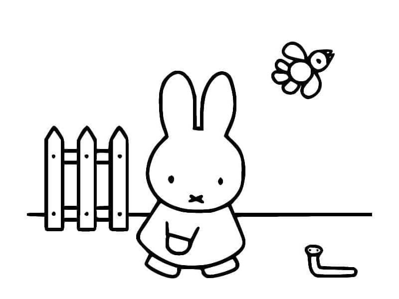 Simple Miffy coloring page