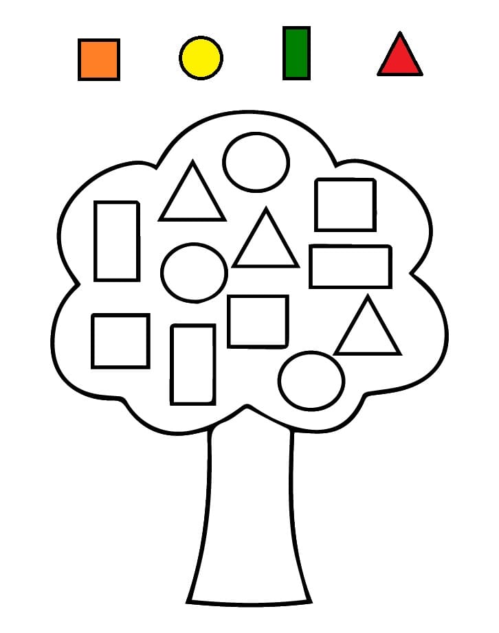 Tree Learning Shapes