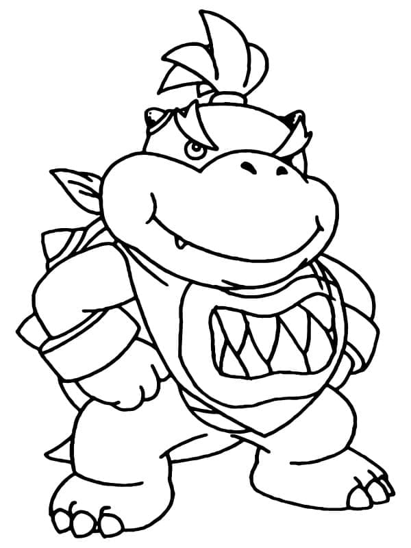 Bowser Jr to Print