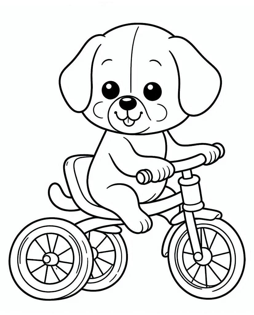 Dog on Tricycle