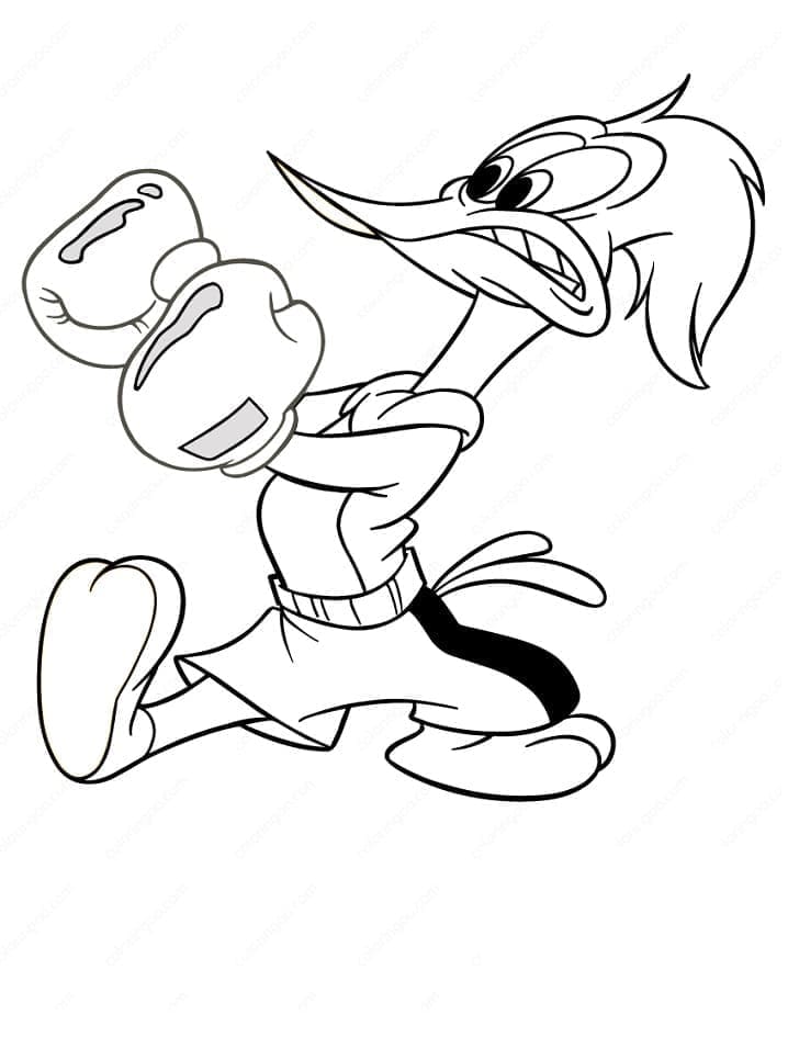 Fun Woody Woodpecker