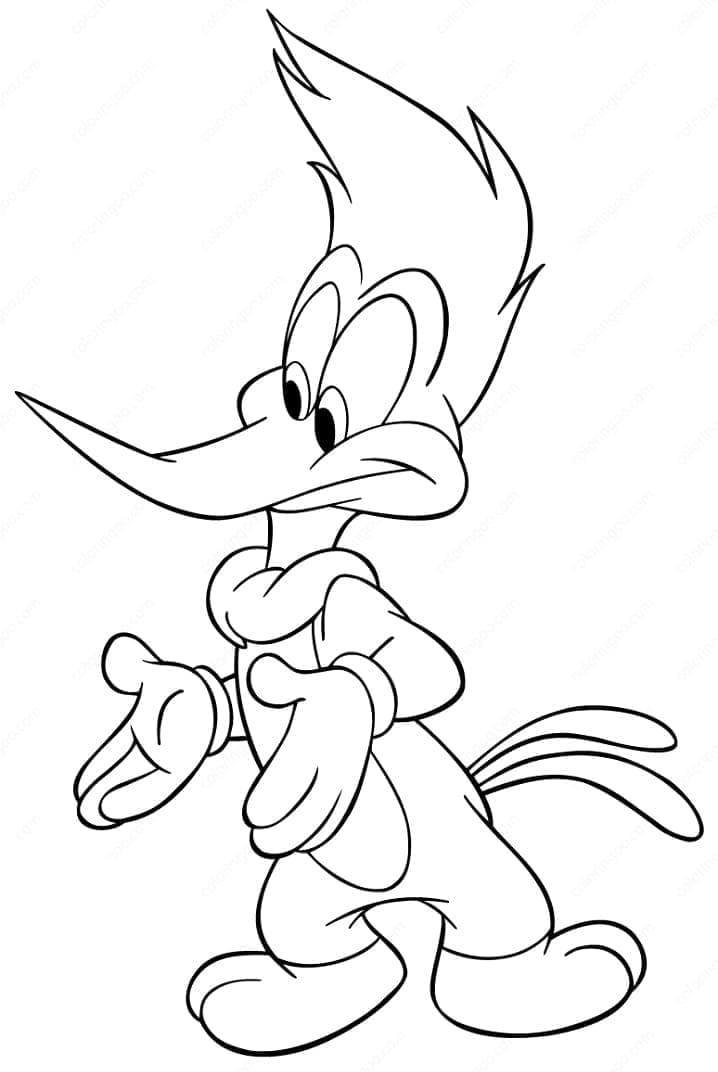 Woody Woodpecker Image