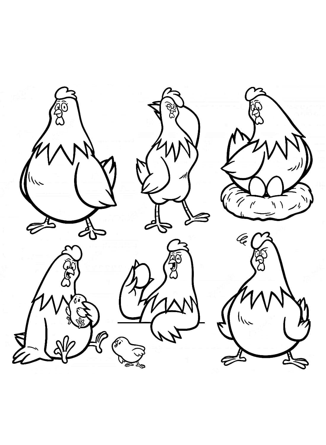 Hen Images