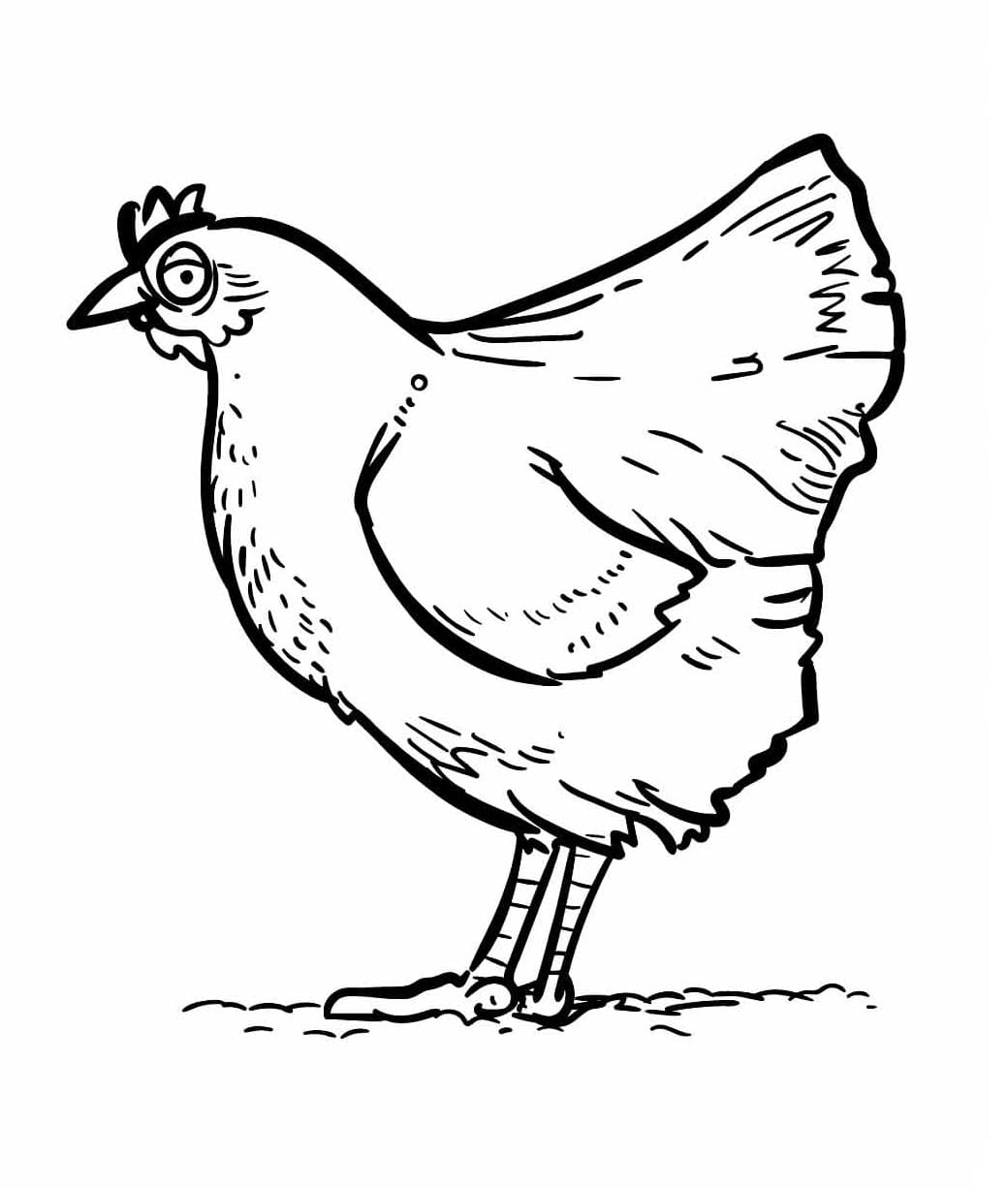 Image of Hen