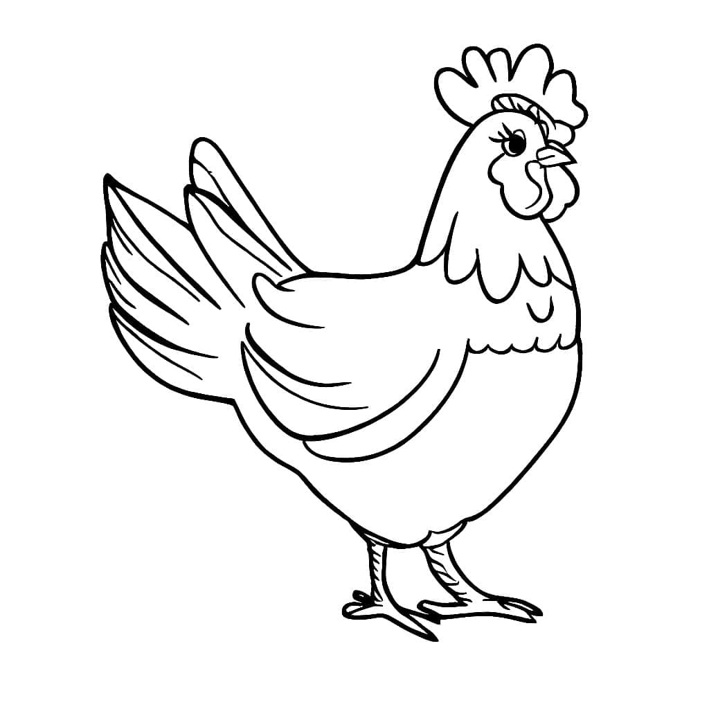 Nice Hen