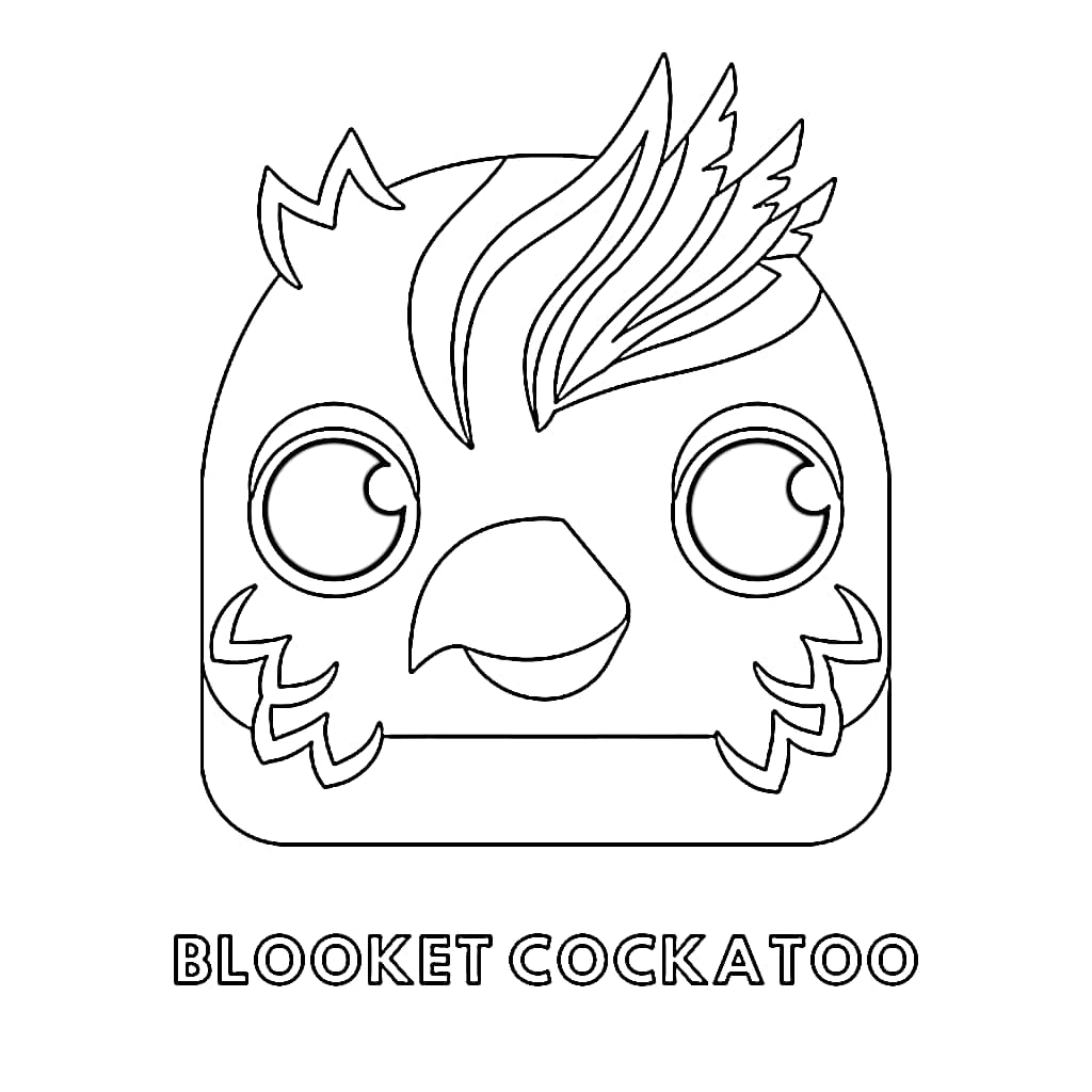 Blooket Cockatoo