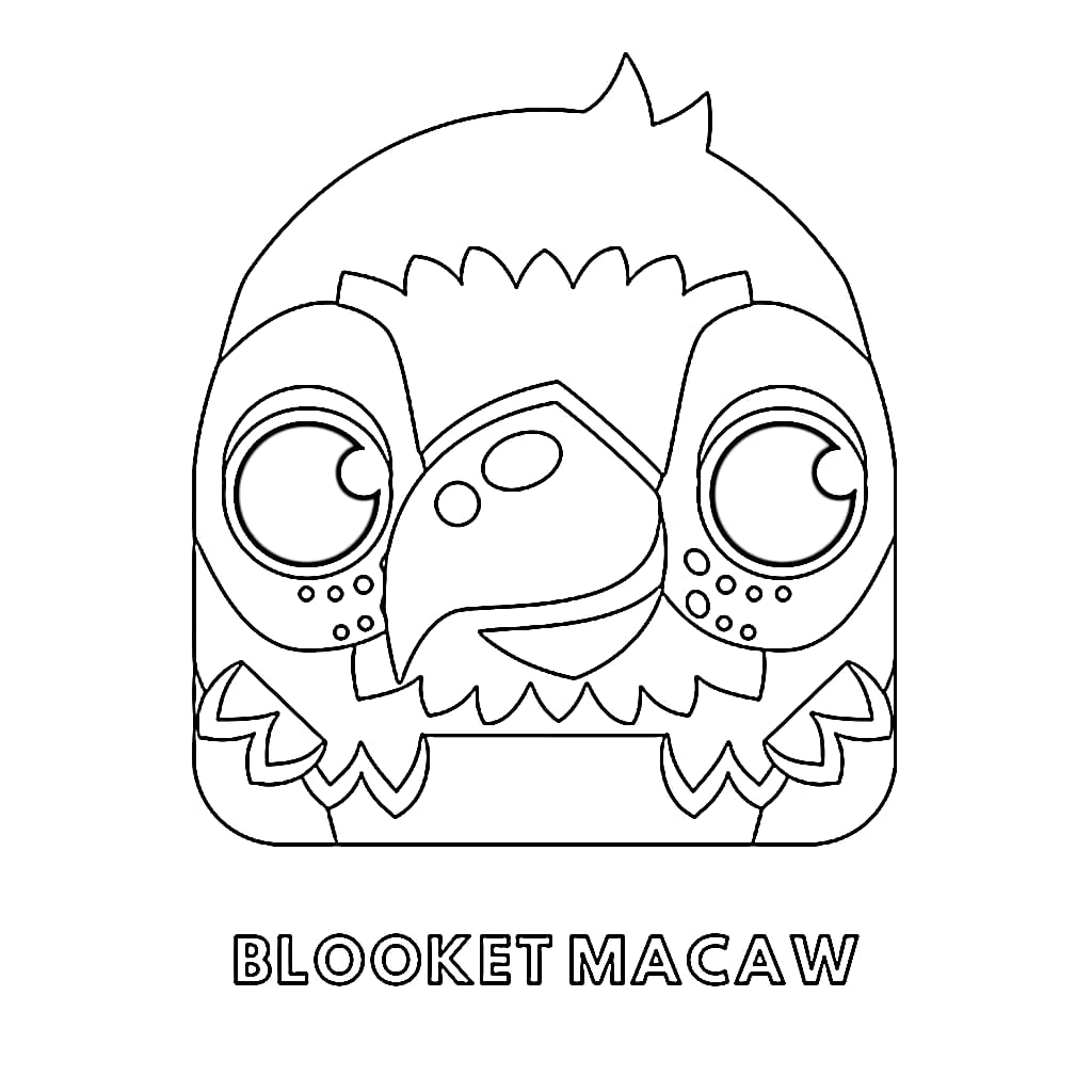 Blooket Macaw