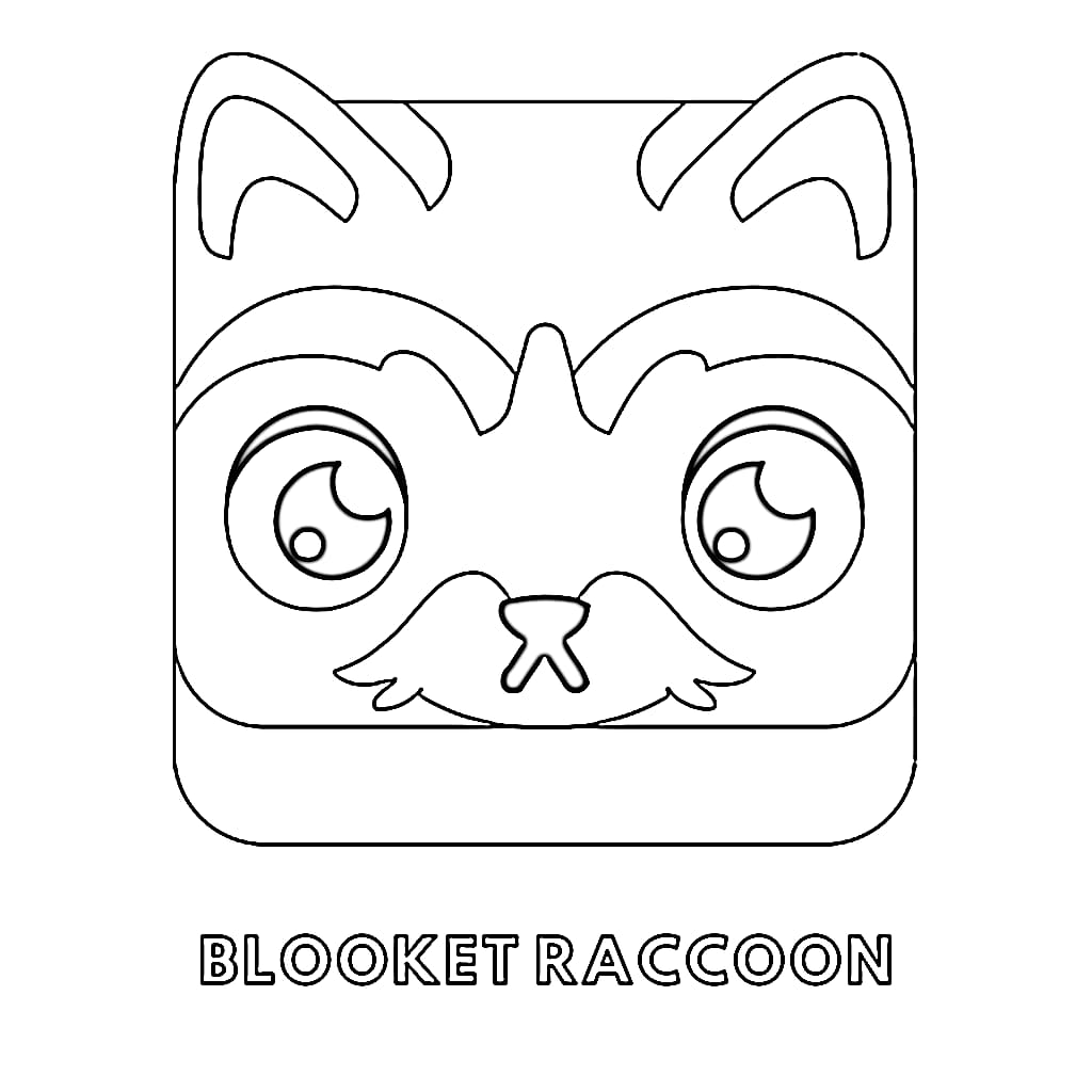 Blooket Raccoon