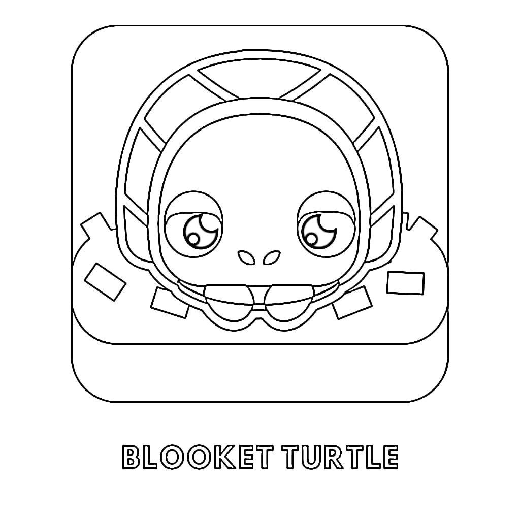 Blooket Turtle