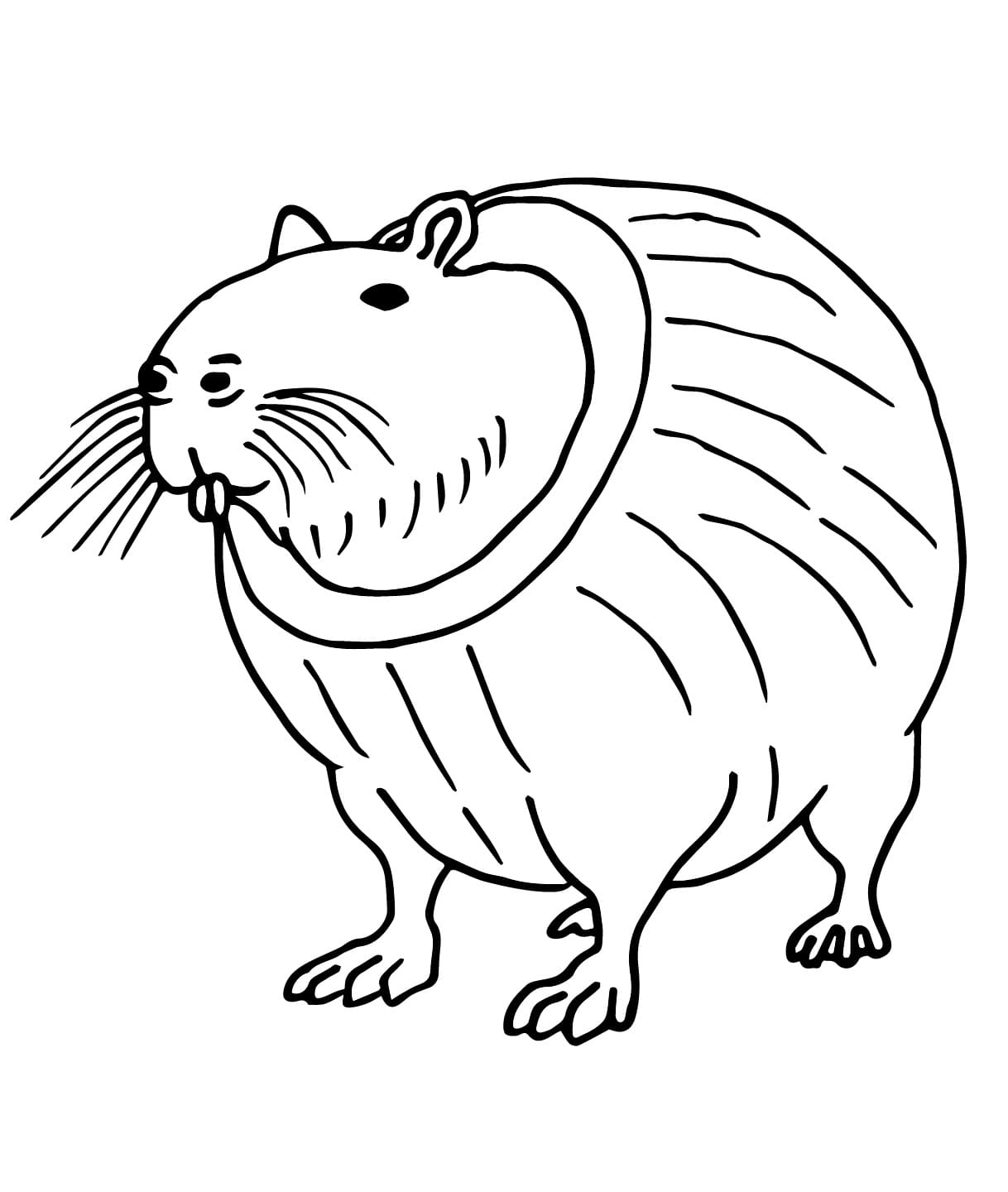 Brainrot Burbaloni Lulilolli coloring page
