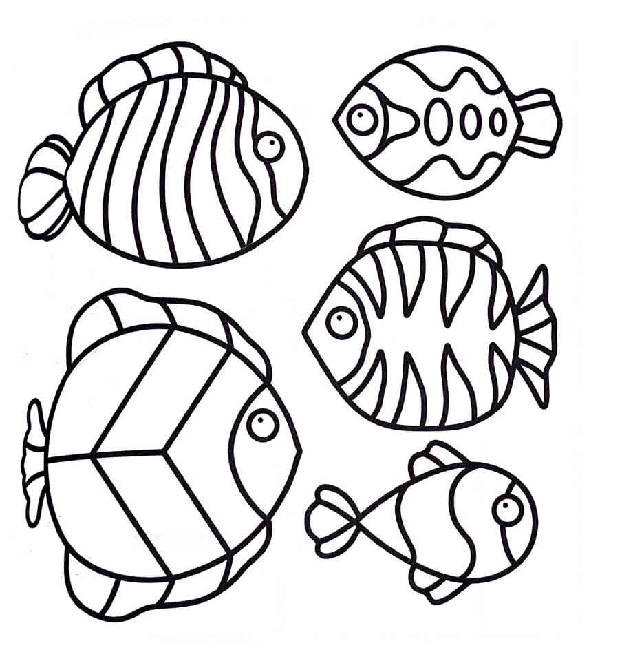 Fishes Comfy Patterns