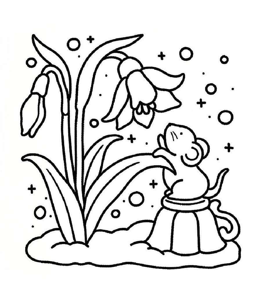 Into Gardens Adorable