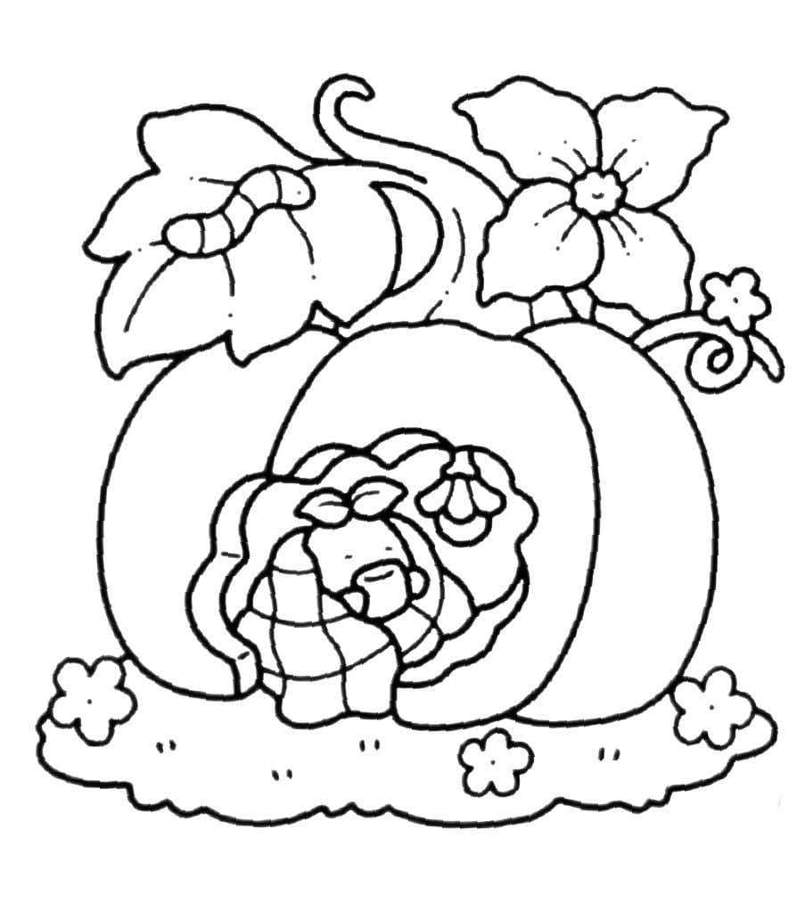 Into Gardens for Kids
