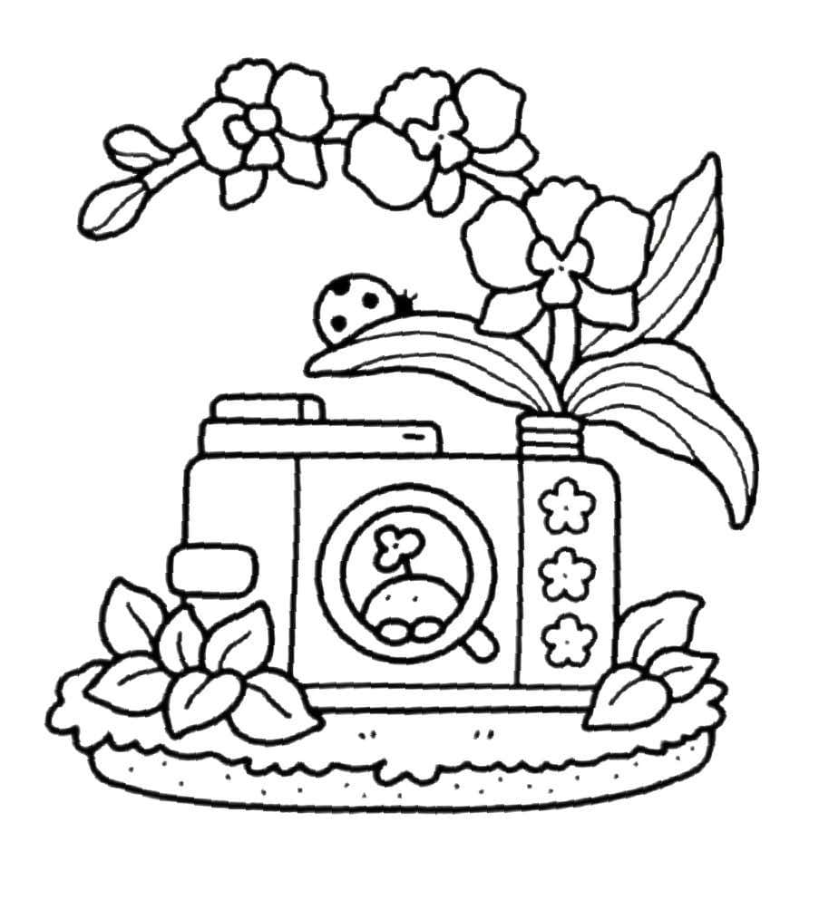 Into Gardens Free Printable
