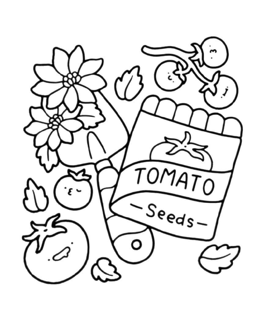 Into Gardens Tomato