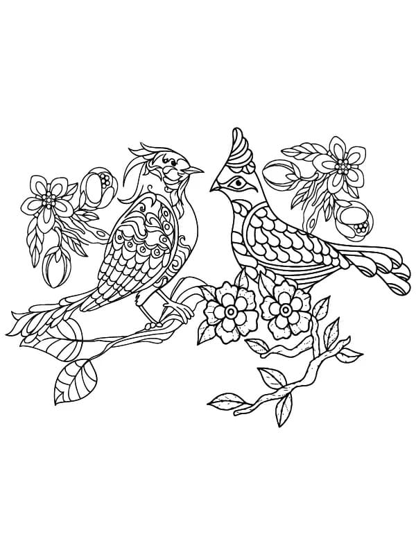 Whimsical Birds