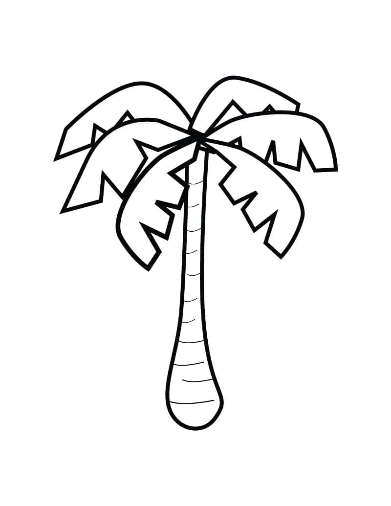 Palm Tree Printable For Kids