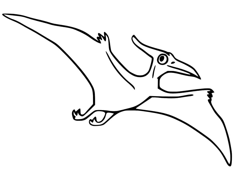 A Flying Pterodactyl