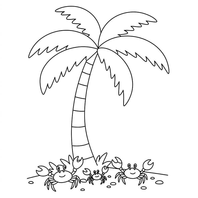 A Simple Palm Tree