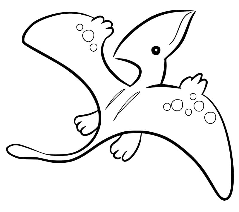 Baby Pterodactyl