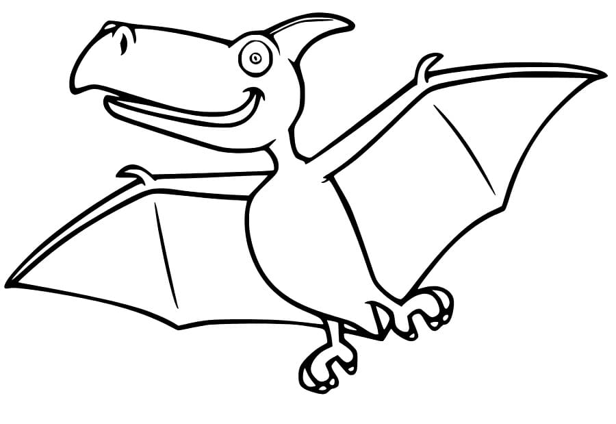 Free Drawing of Pterodactyl