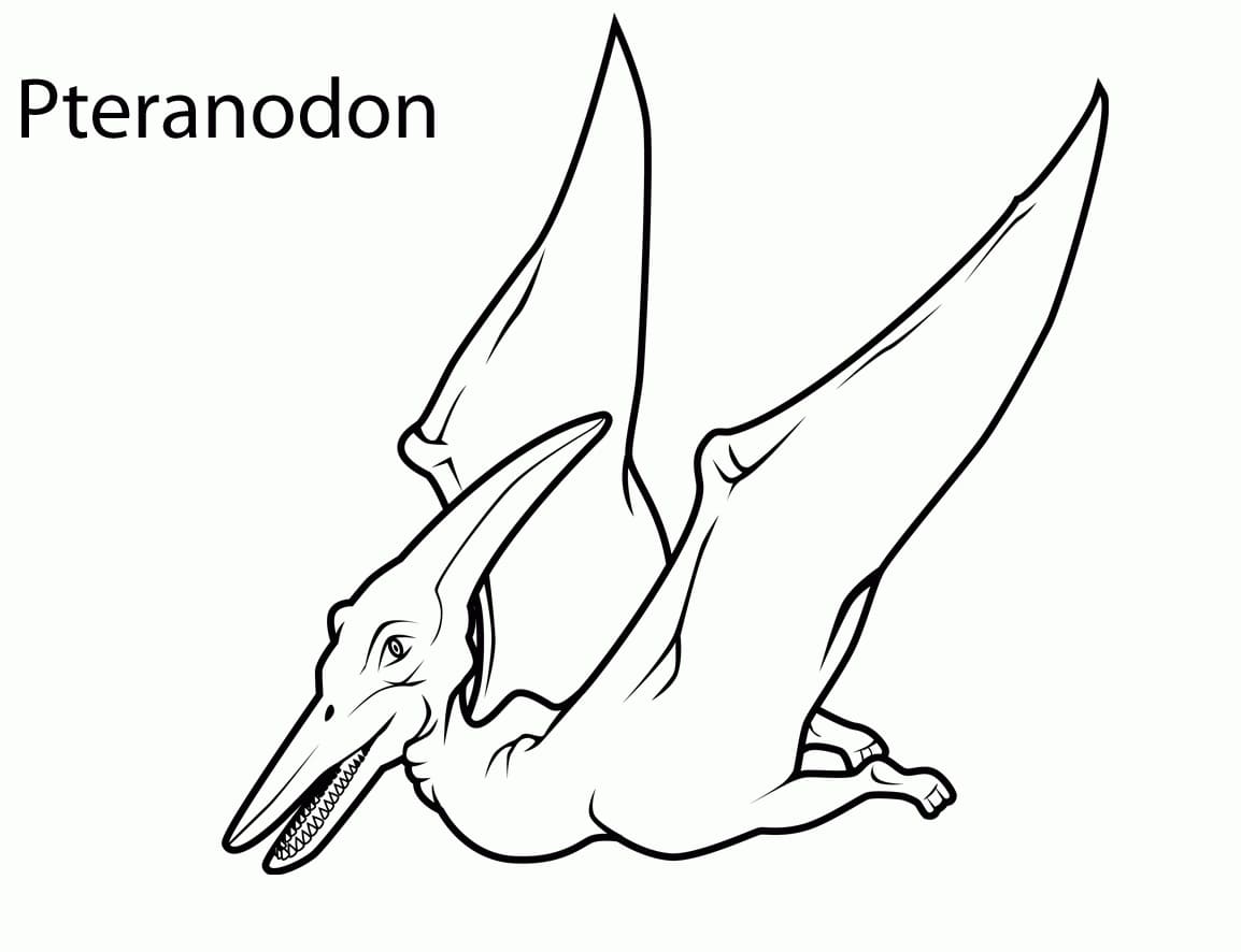 Free Pterodactyl