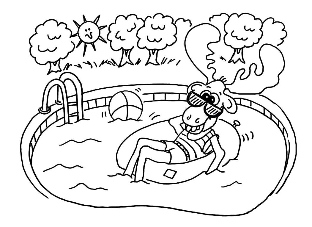 Funny Swimming Pool