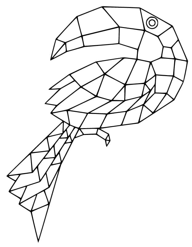 Hornbill Origami