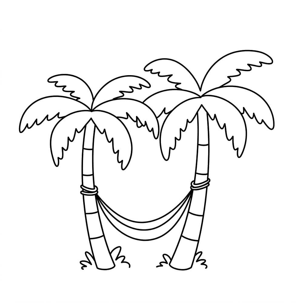 Palm Trees
