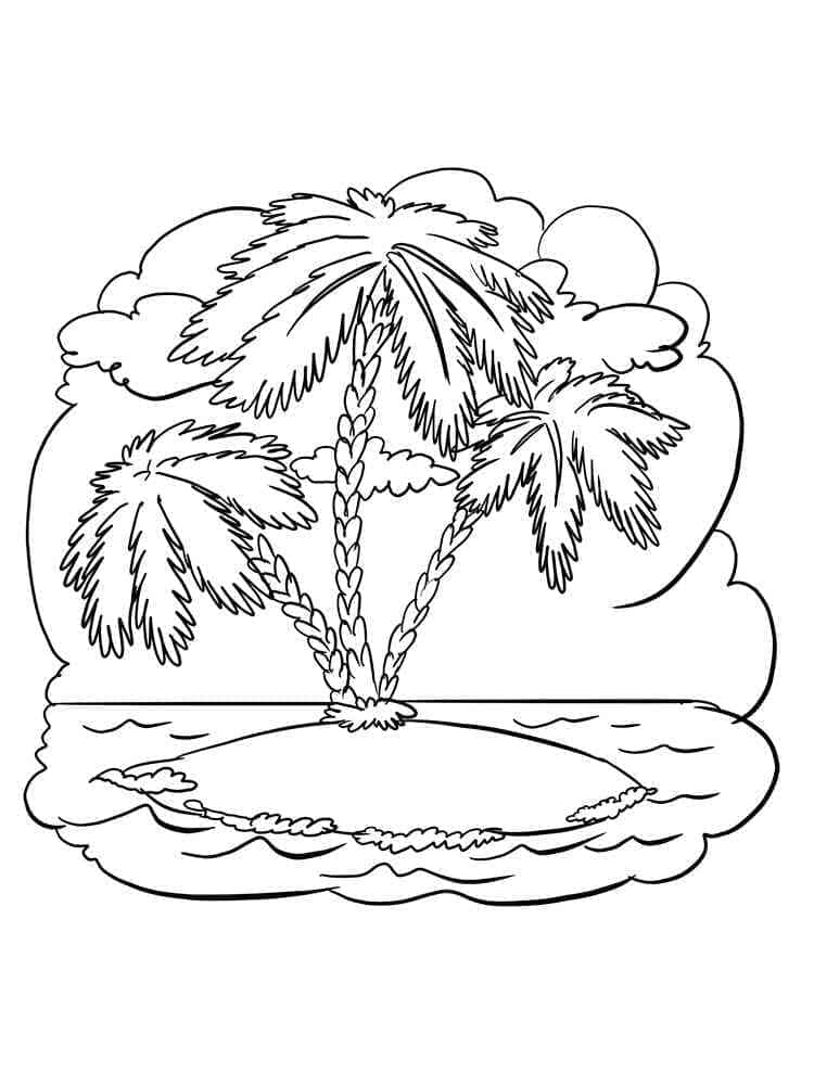 Palm Trees on Island